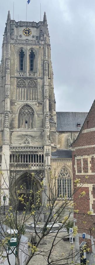 Domus Basil Villa Tongeren Dış mekan fotoğraf